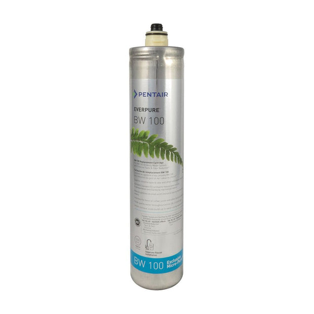 Everpure BW100 (DW100F) Water Filter Cartridge - EV966816 - Filter Flair
