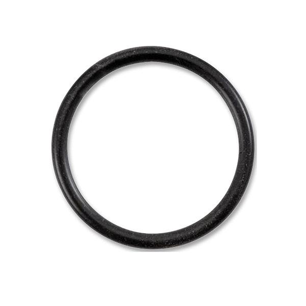 Omnipure Q Series Head O-Ring - Large - Filter Flair